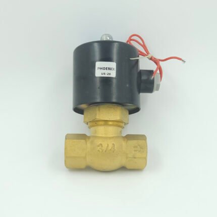 Brass Servo Steam Valves (2L Series)