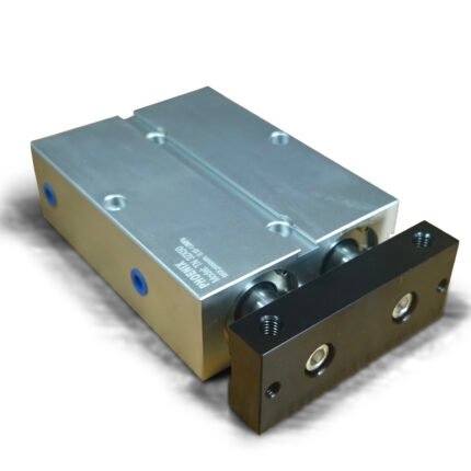 Twin-Rod Cylinders (TN Series)